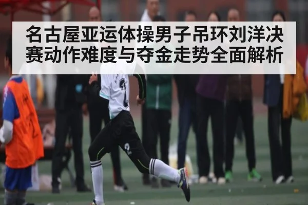 名古屋亚运体操男子吊环刘洋决赛动作难度与夺金走势全面解析